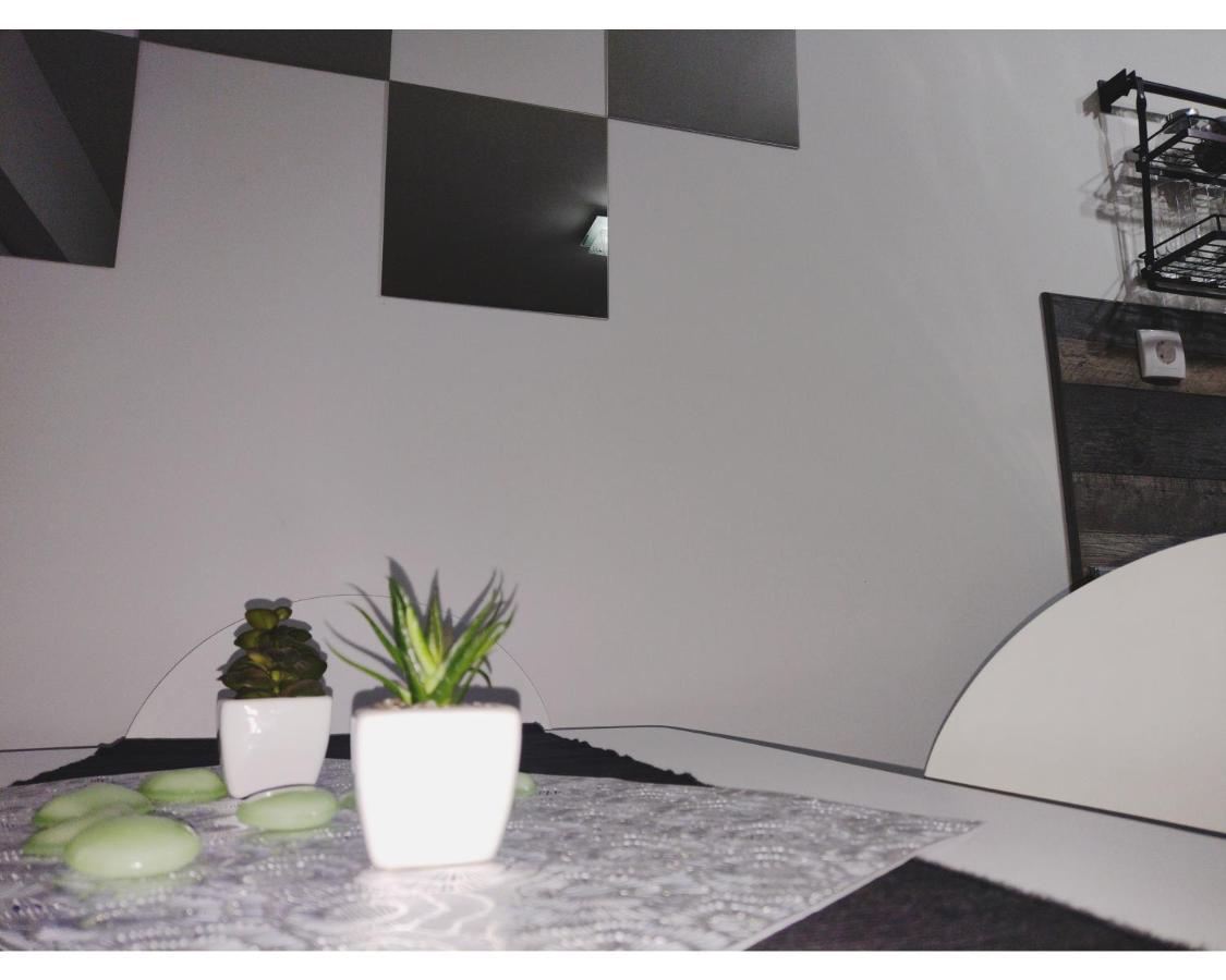 Apartmani Domo Sd Smederevo Zewnętrze zdjęcie